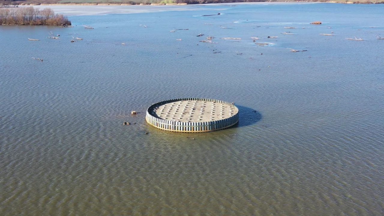 Obserwacja ptak&oacute;w Jezioro Goczałkowickie