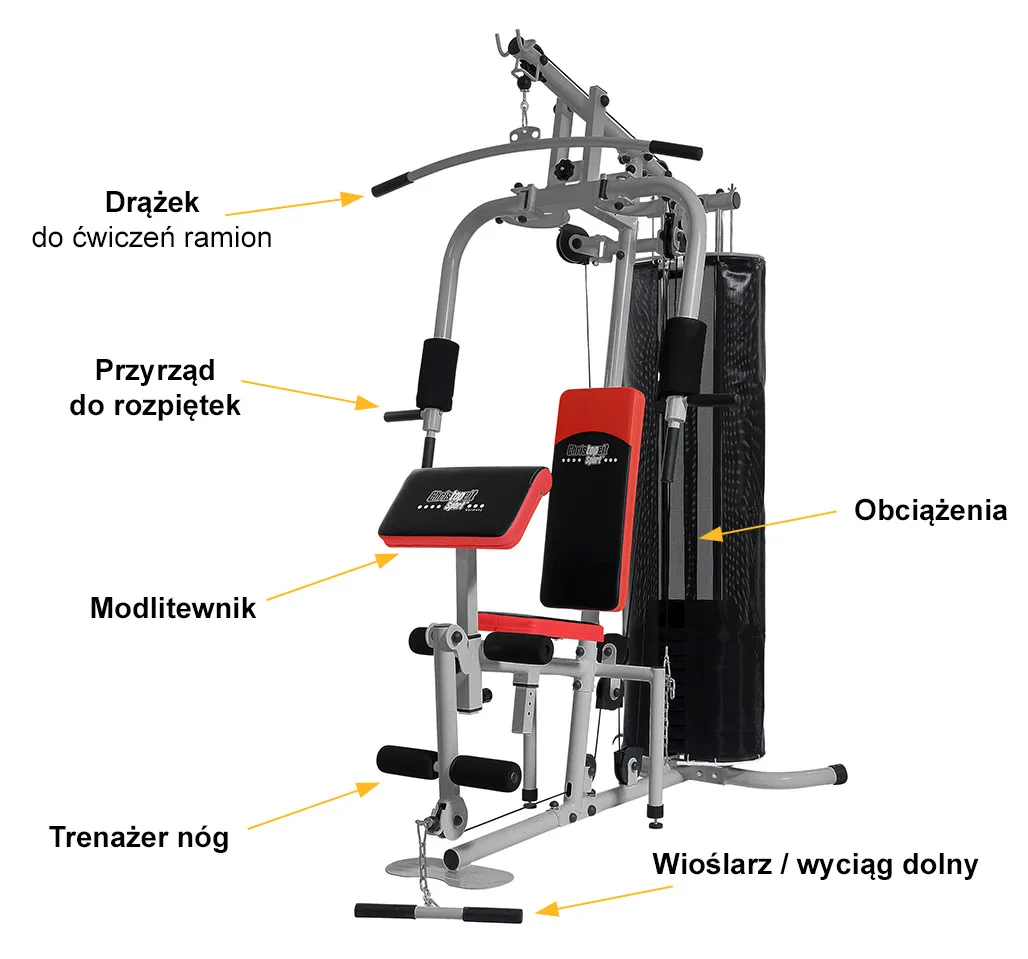 ćwiczenia na atlasie infografika, atlas siłowy schemat ćwiczeń