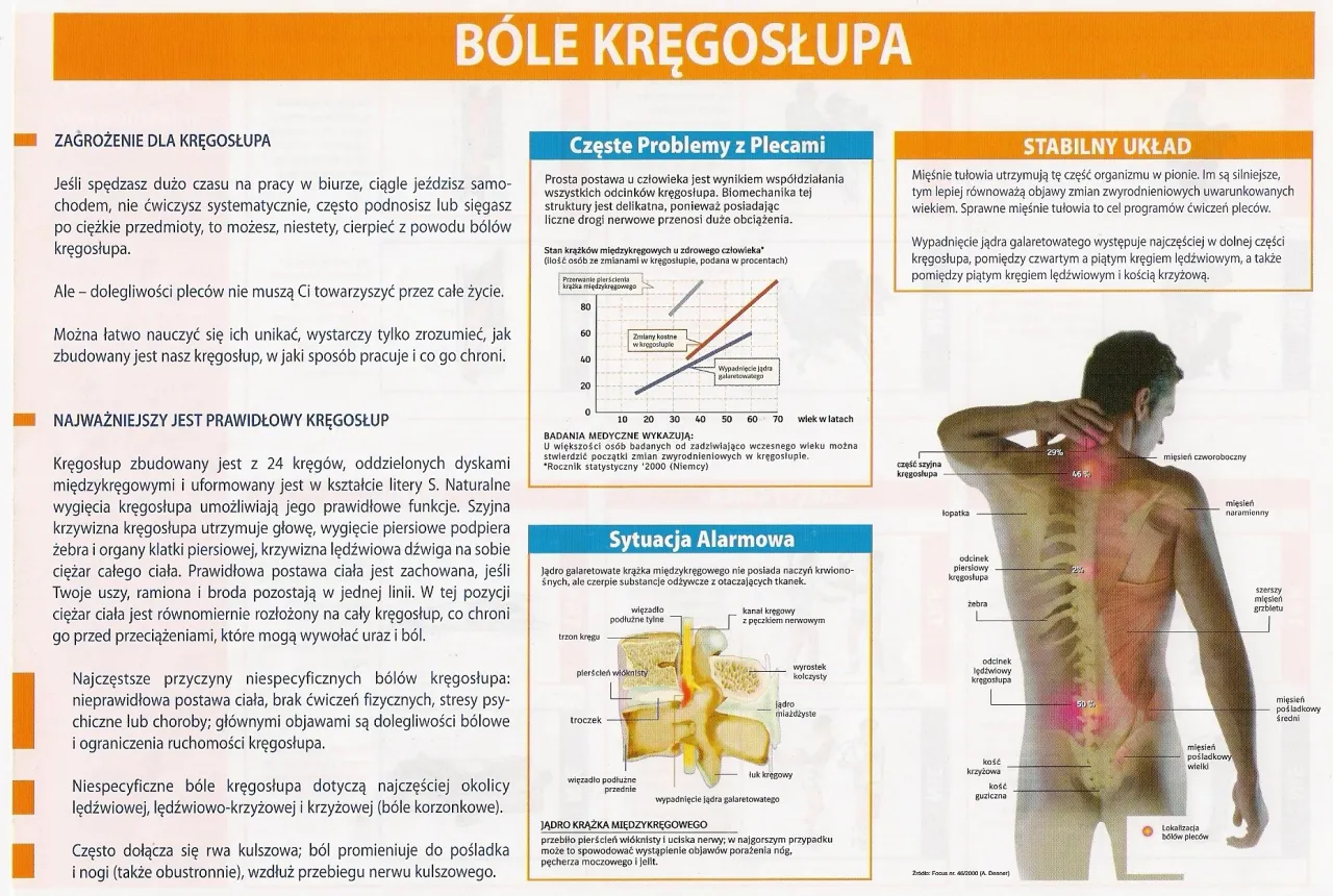 różne schorzenia kręgosłupa infografika