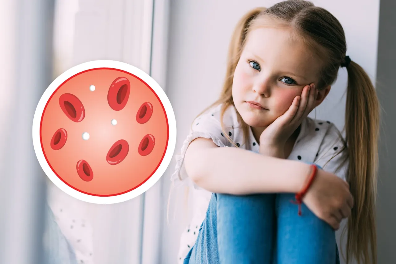 dziecko badanie krwi, leukocyty u dziecka