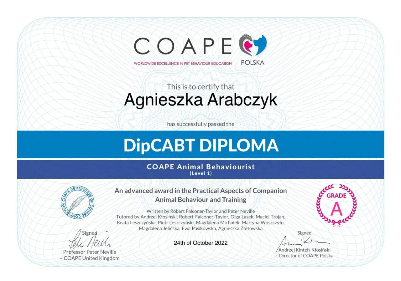 certyfikat behawiorysty COAPE
