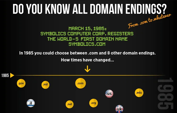 Rodzaje rozszerzeń domen infografika