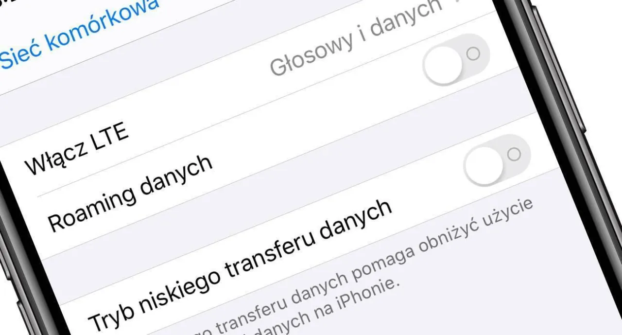 Zrzut ekranu z ustawień iPhone'a pokazujący opcję 