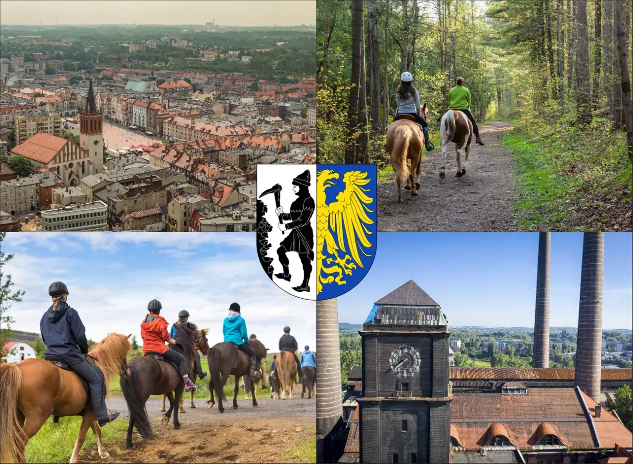 Cennik jazdy konnej Bytom