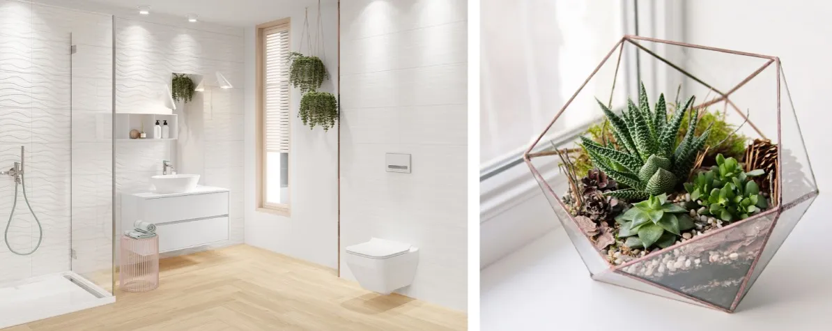 aranżacje roślin w małej łazience, wiszące rośliny łazienka