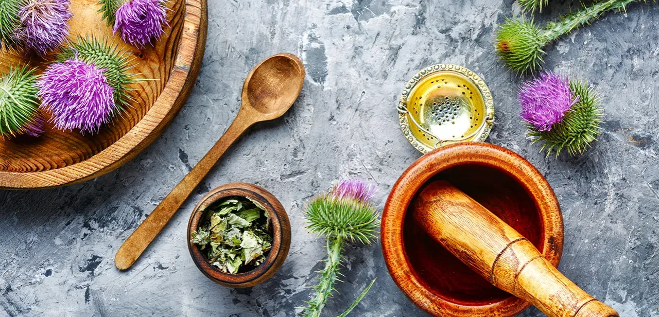 piperyna i sylimaryna rośliny