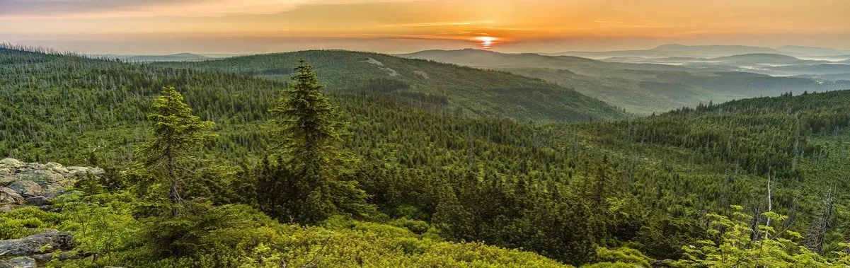 Wandern im Bayerischen Wald mit Bergblick