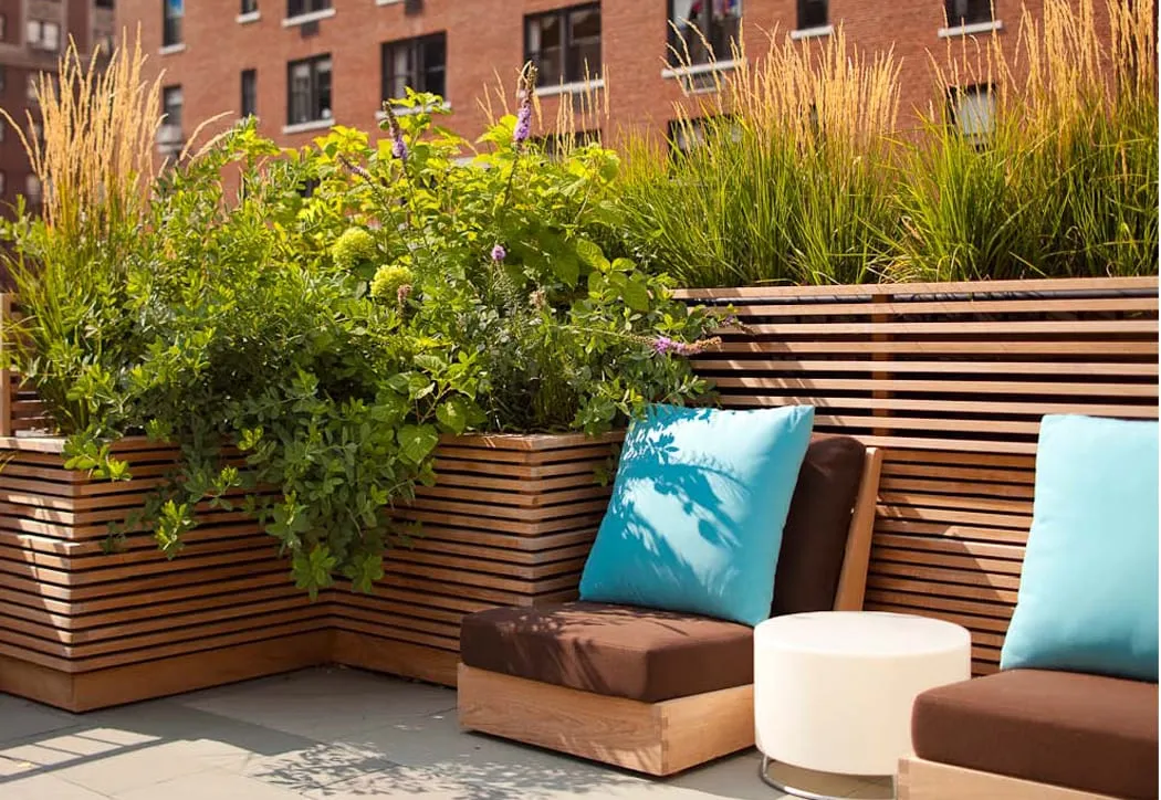 Tarasy z krzewami ozdobnymi