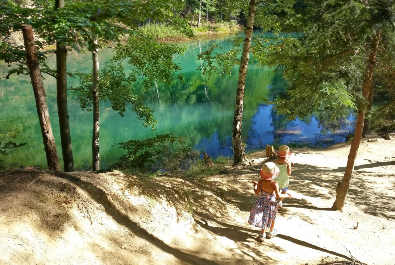 Leśne ścieżki na Śląsku z dziećmi