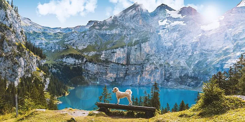 Jezioro Oeschinensee Szwajcaria turkusowa woda