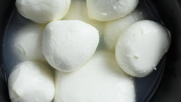 Zdjęcie Czy mozzarella jest dietetyczna? Sprawdź jej wpływ na zdrowie