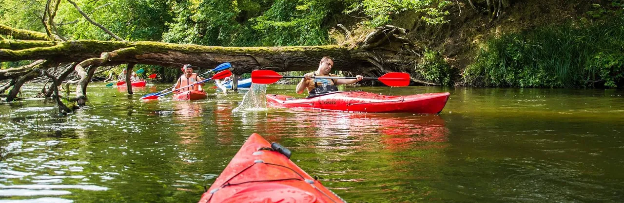 spływ kajakowy Drawa