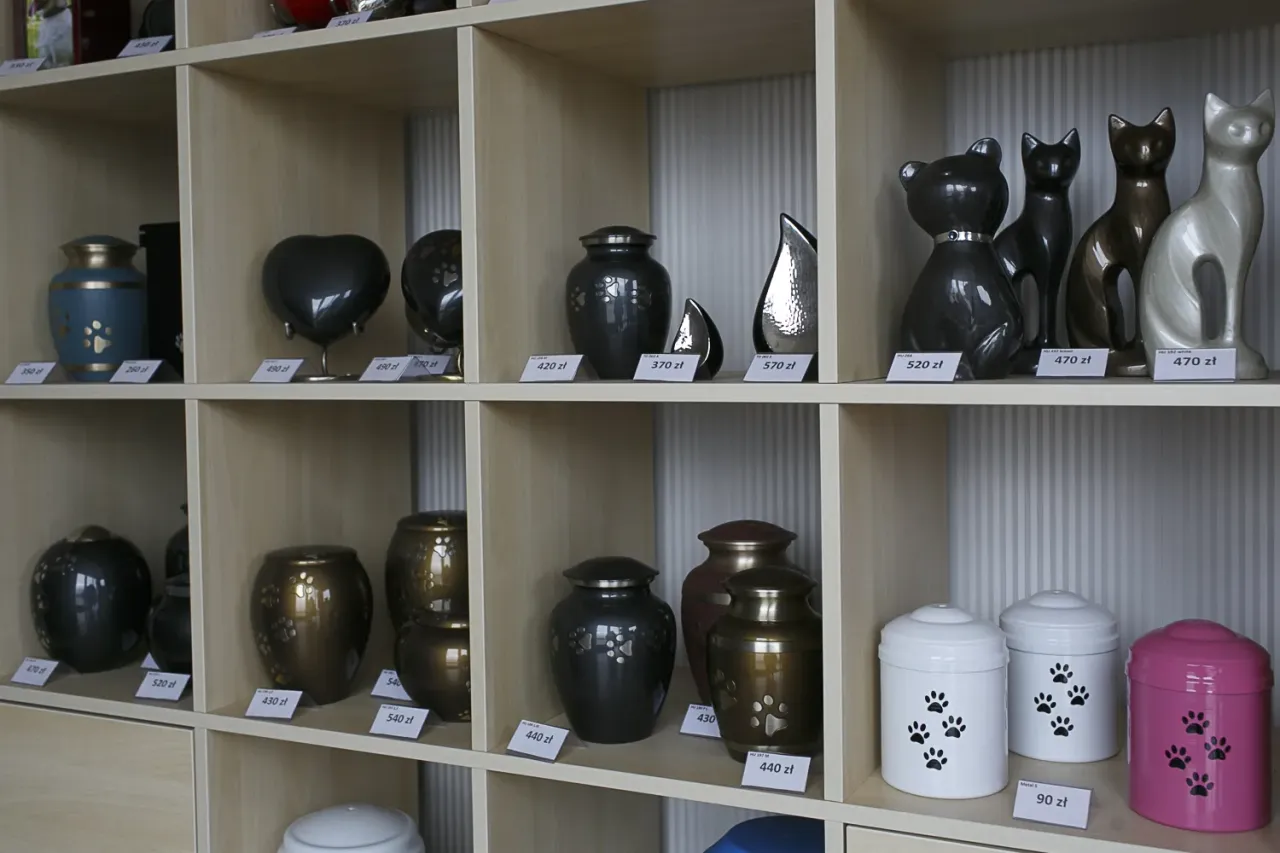 kremacja indywidualna kota urna