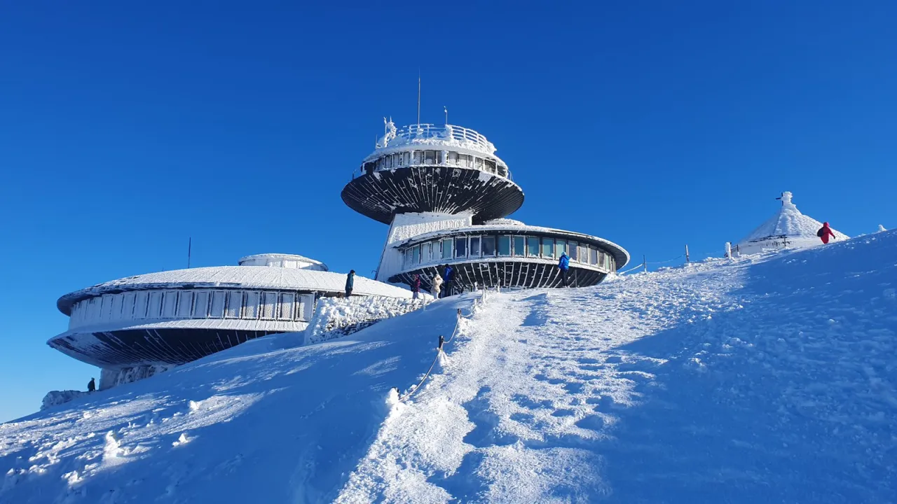 Śnieżka zimą raki raczki