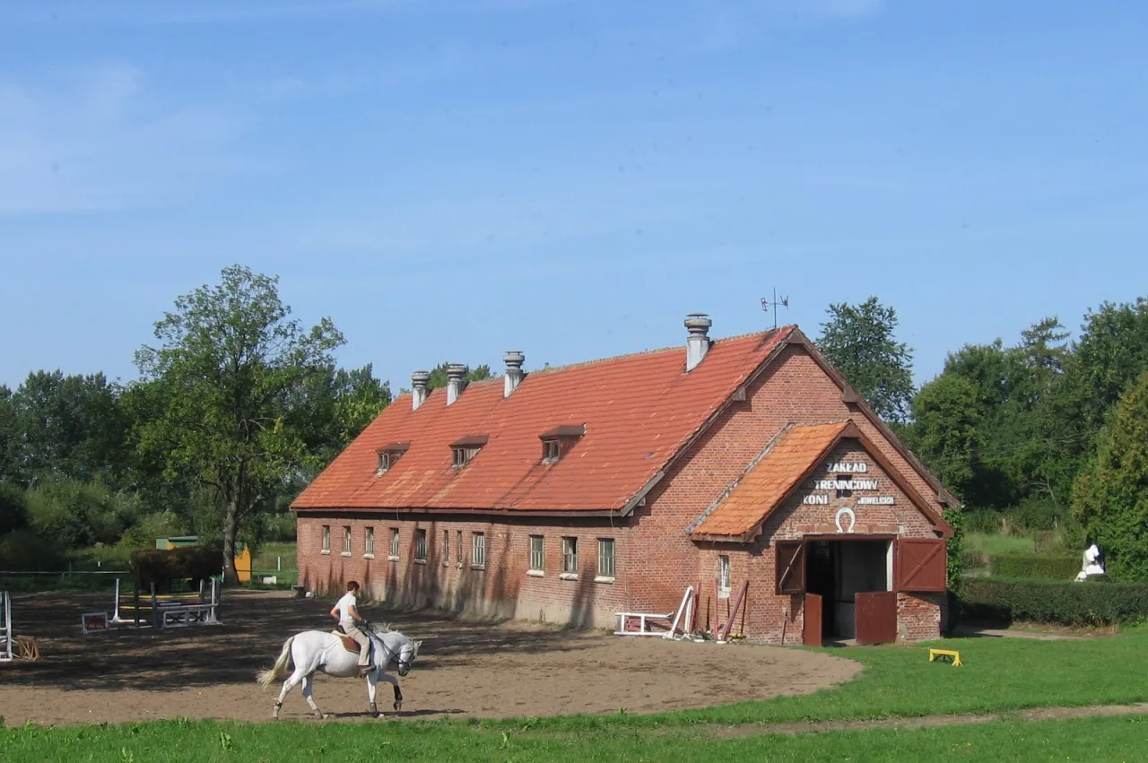 r&oacute;żne typy stadnin koni