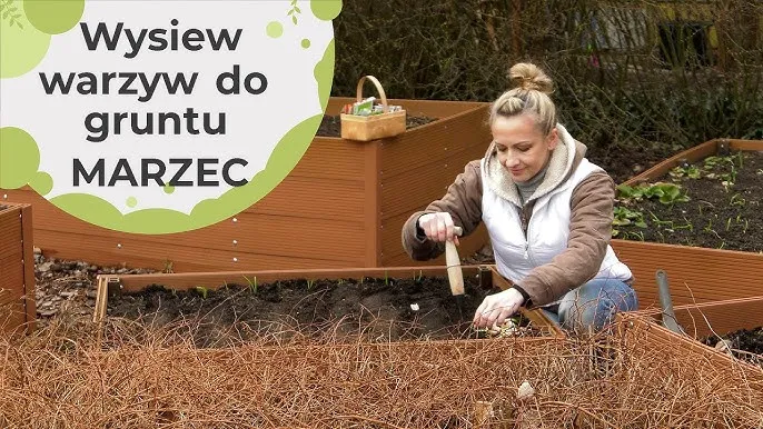 siew warzyw marzec rozsady