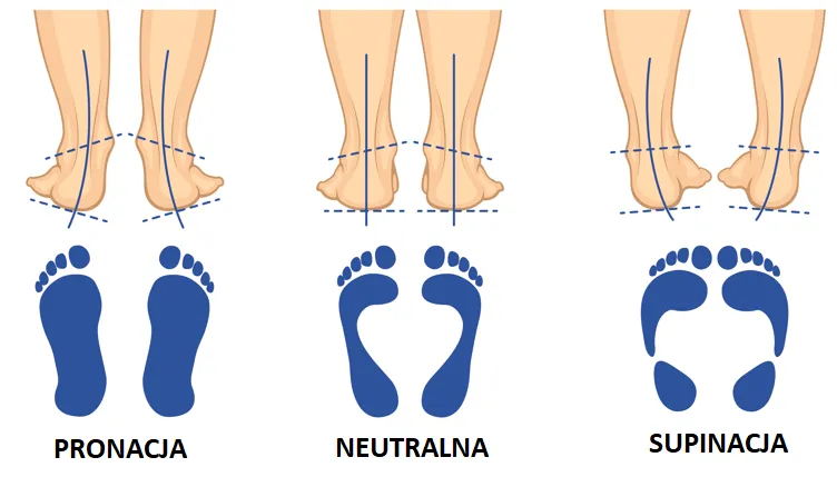 test wodny stopy pronacja supinacja