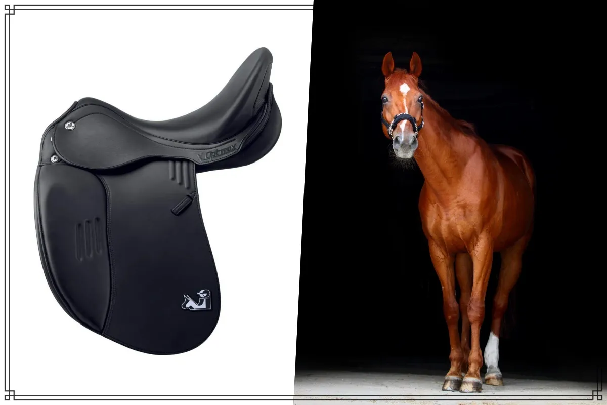 Por&oacute;wnanie siodła mongolskiego z innymi typami siodeł