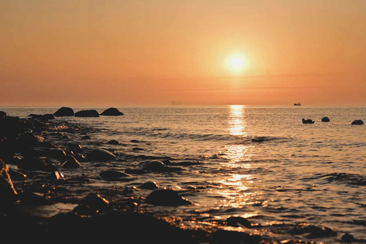 Klif Orłowski wsch&oacute;d słońca