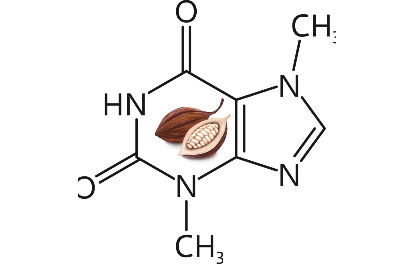 Schemat budowy chemicznej teobrominy i kofeiny