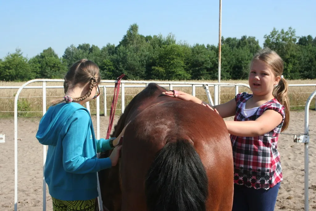 dzieci jazda konna kucyki warszawa