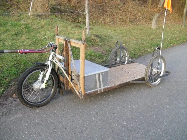 Fahrradanh&auml;nger Motor fertig vs DIY
