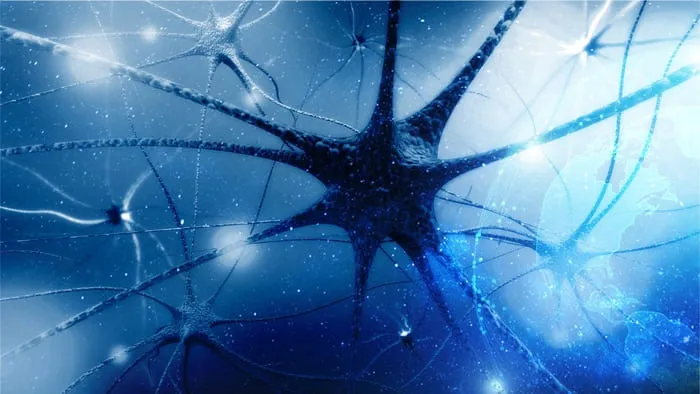 Zdjęcie Uszkodzenie nerwów obwodowych objawy: jak rozpoznać i leczyć neuropatię