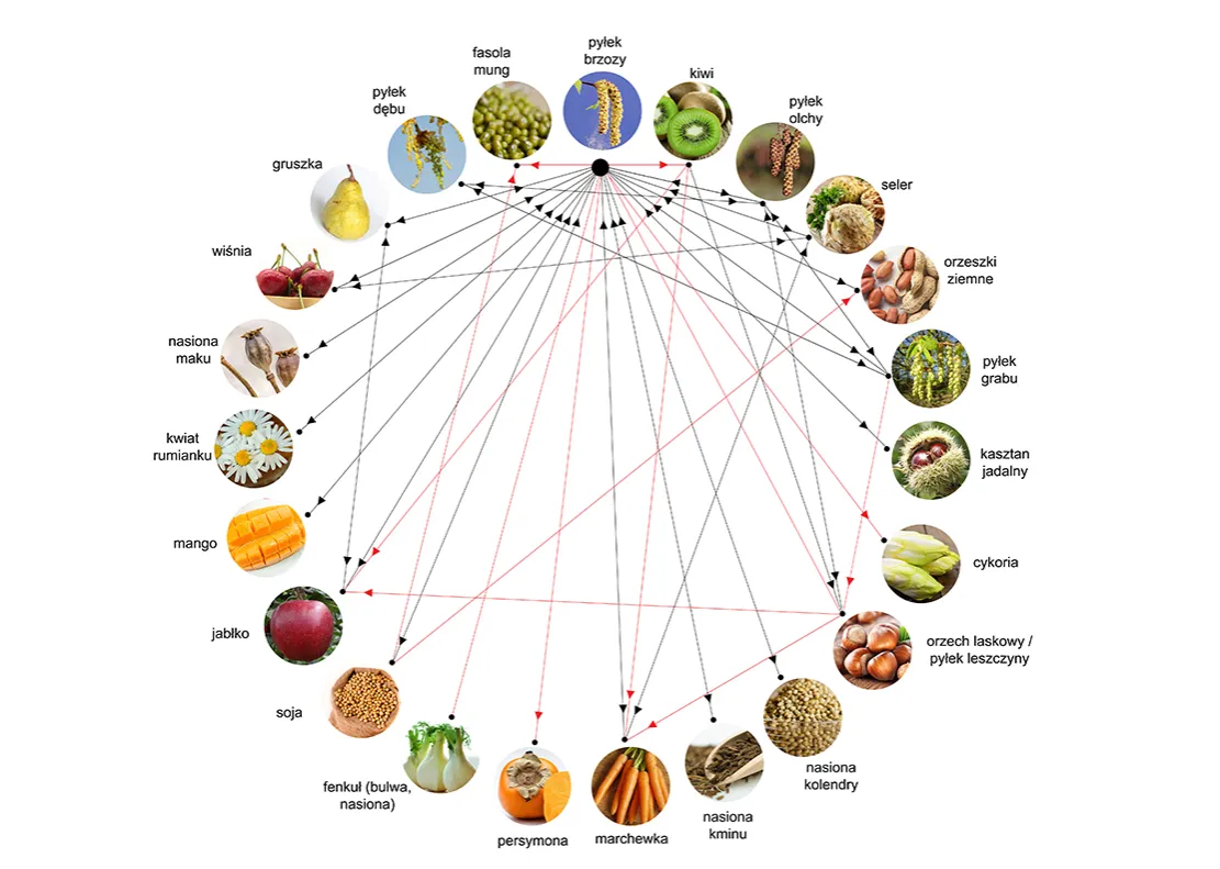 alergia krzyżowa brzoza produkty