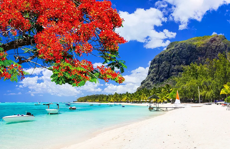 Mauritius plaża raj