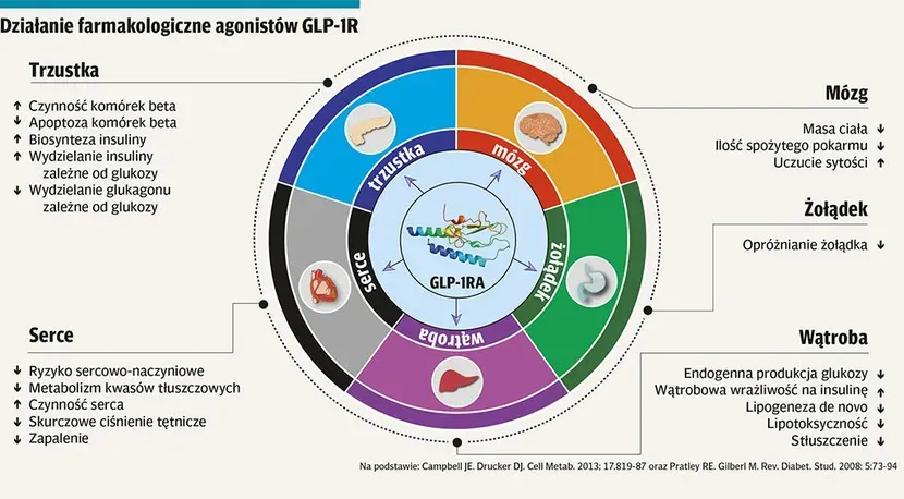 analogi GLP-1 mechanizm działania odchudzającego