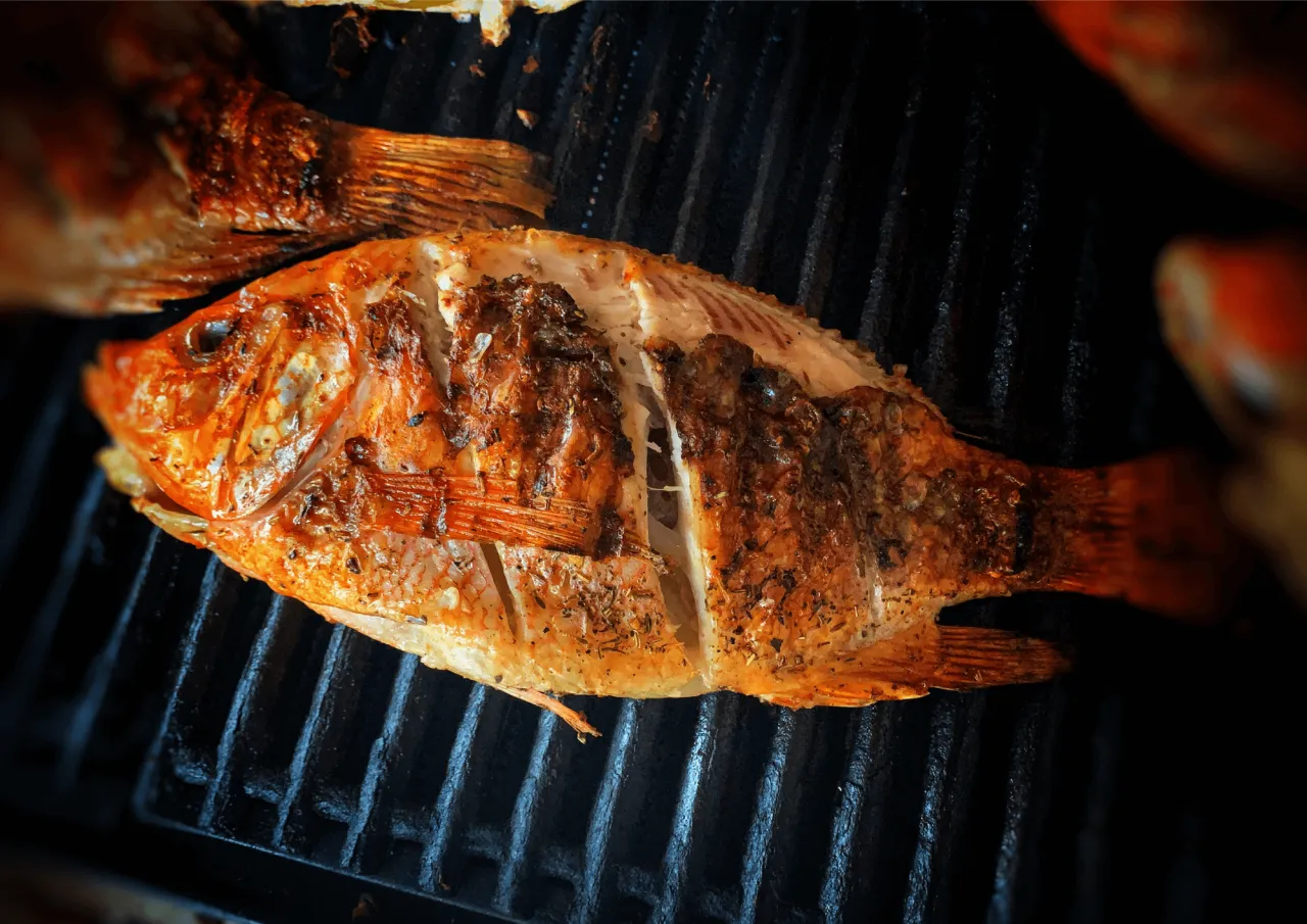 Złocista ryba na grillu, idealna na letni obiad. Wspaniała jaka ryba na grilla!