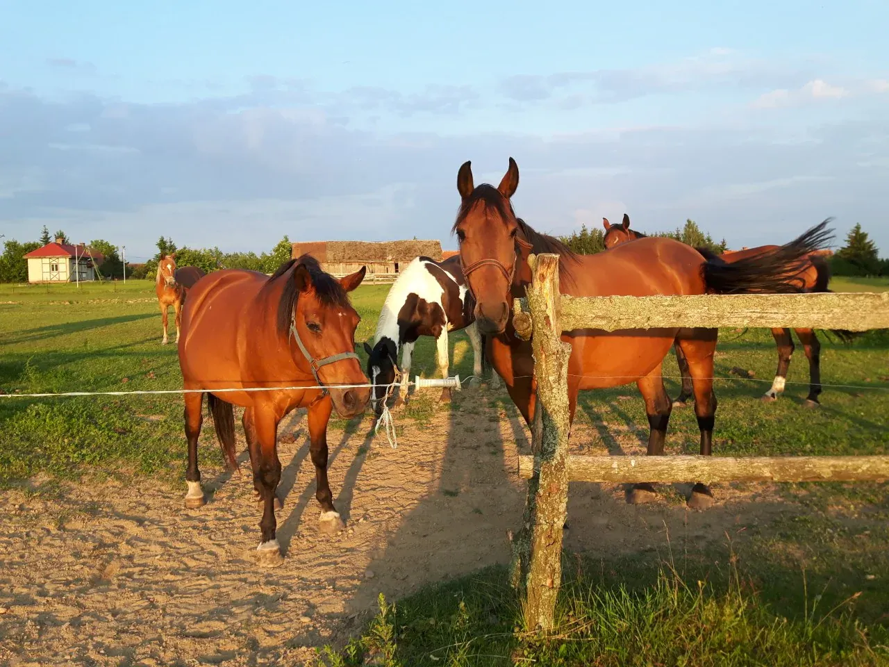 Urlop w siodle agroturystyka