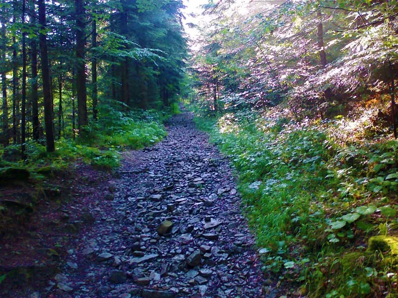 szlaki turystyczne Wierchomla Mała Bac&oacute;wka