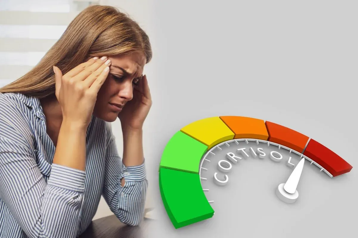 kortyzol rytm dobowy wykres