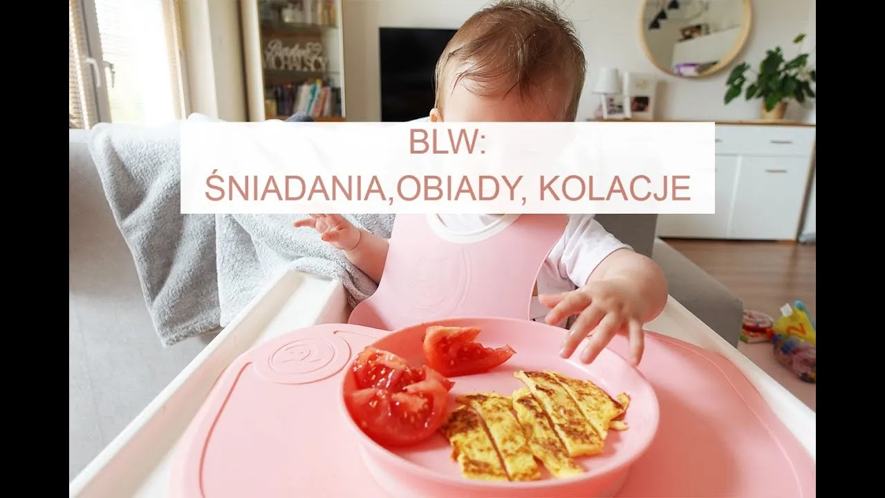 BLW obiad 10 miesięcy