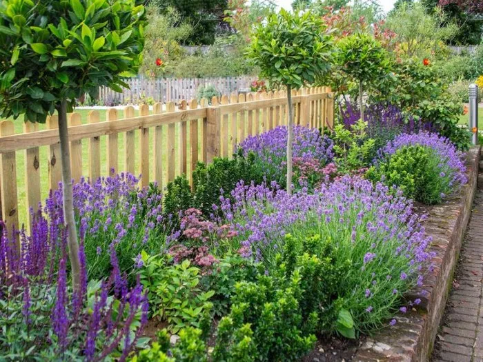 Idealne stanowisko dla lawendy, słoneczny ogród