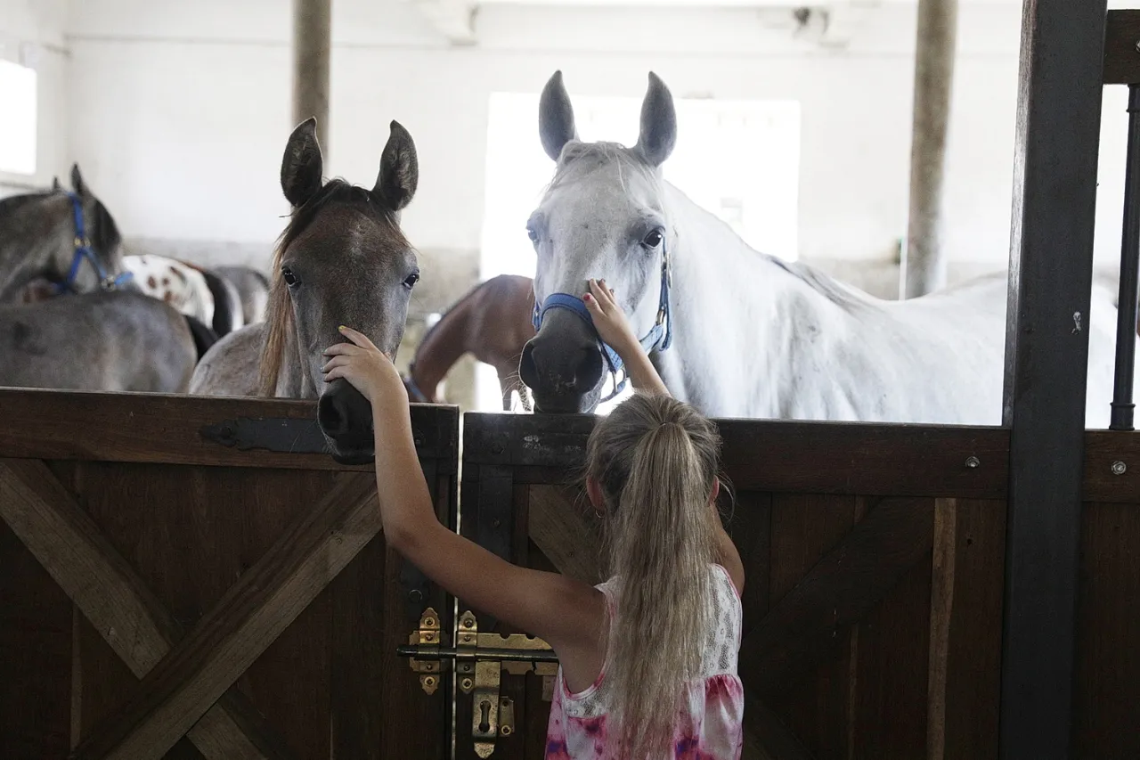 Stadnina Koni Hestia Radom