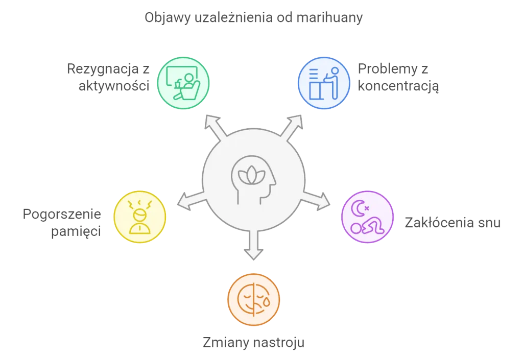 nowe życie bez marihuany