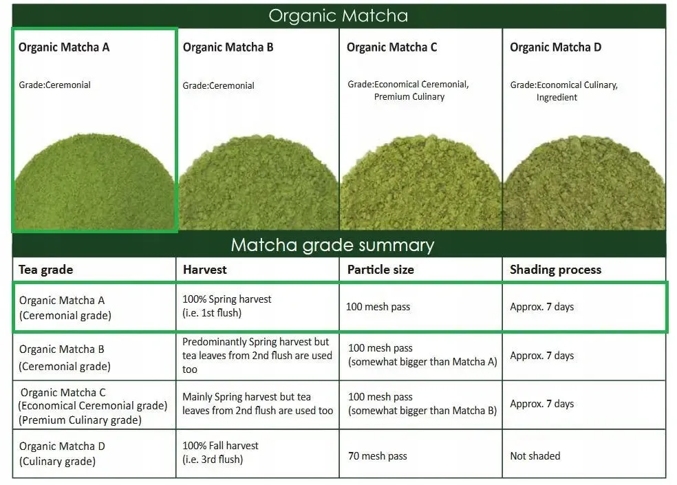 różne rodzaje matchy w proszku