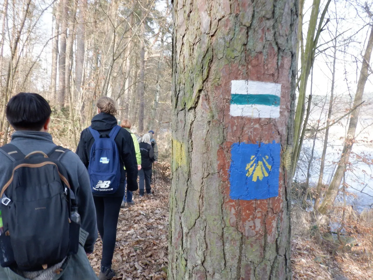 Rodzaje znaków szlaków turystycznych PTTK