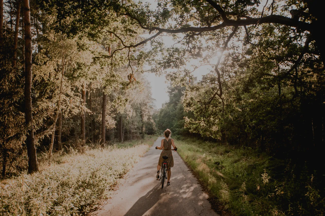 Kobieta na rowerze przemierza malownicze trasy rowerowe Puszczy Niepołomickiej, otoczona zielenią i słońcem przebijającym się przez drzewa.