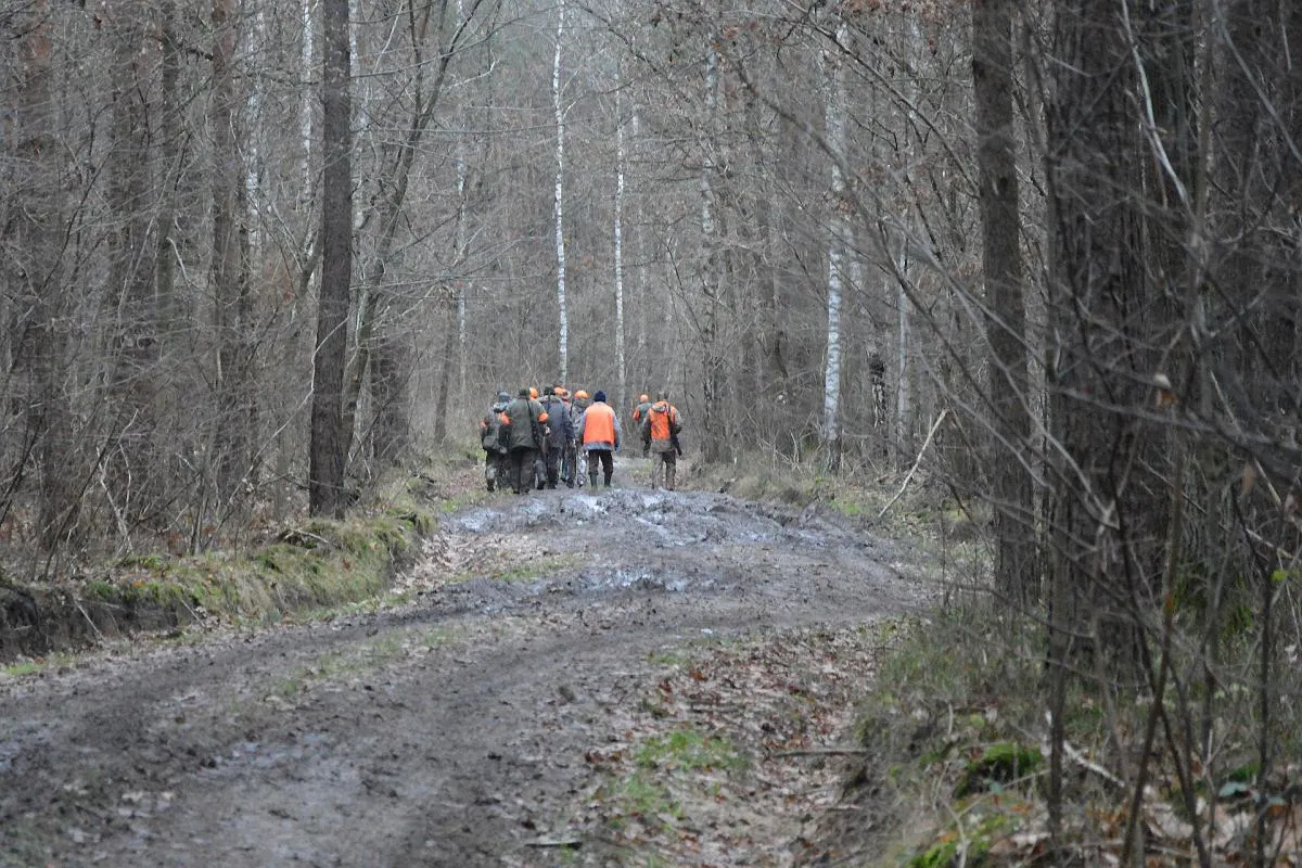 Grupa myśliwych w pomarańczowych kamizelkach idzie błotnistą drogą przez las. Czy myśliwy może jeździć za szlaban do lasu?