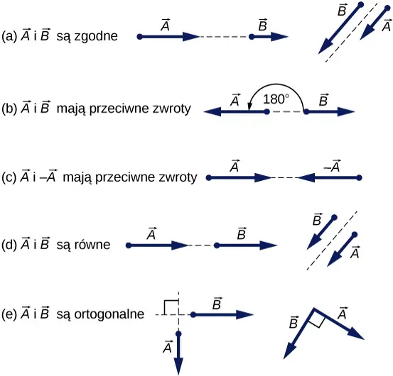 przykłady wektor&oacute;w fizyka