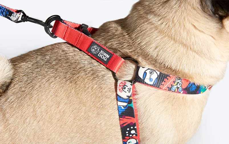 Pies w szelkach step-in