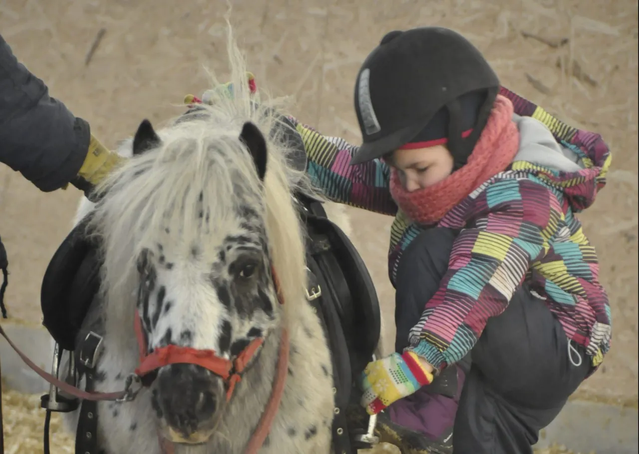 dziecko w kaloszach jeździeckich w stajni