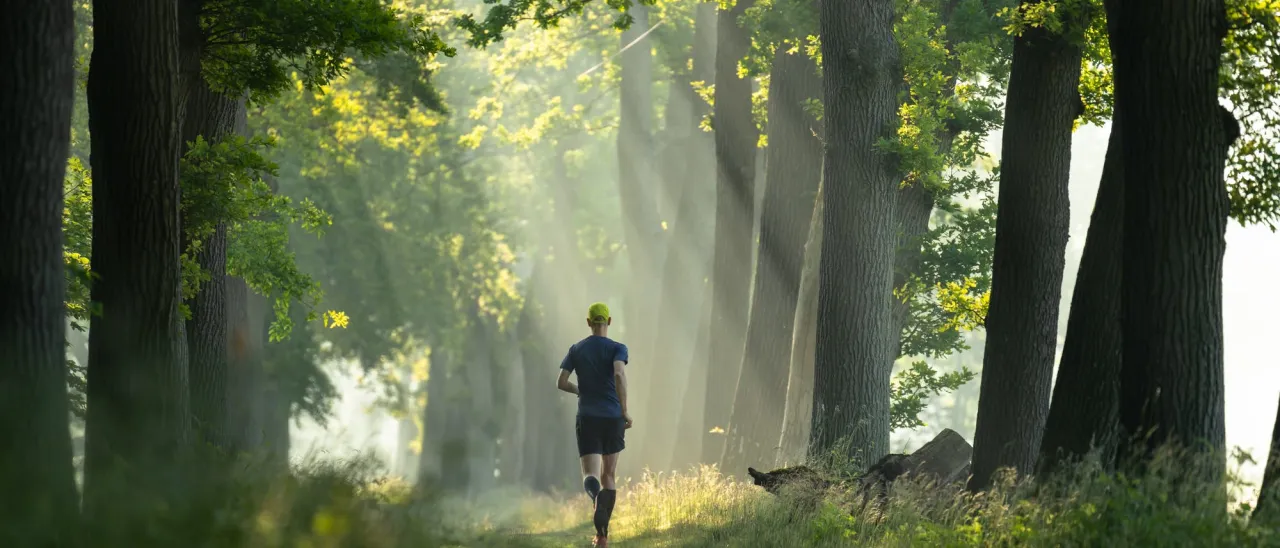 Person macht zügiges Gehen in der Natur