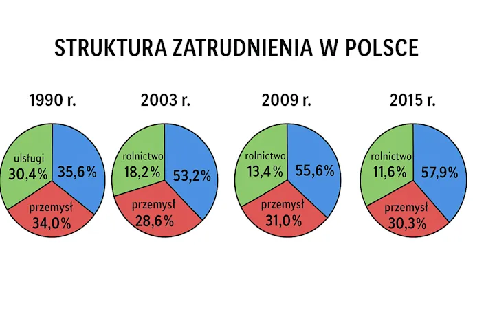 Rodzaje struktury zatrudnienia infografika