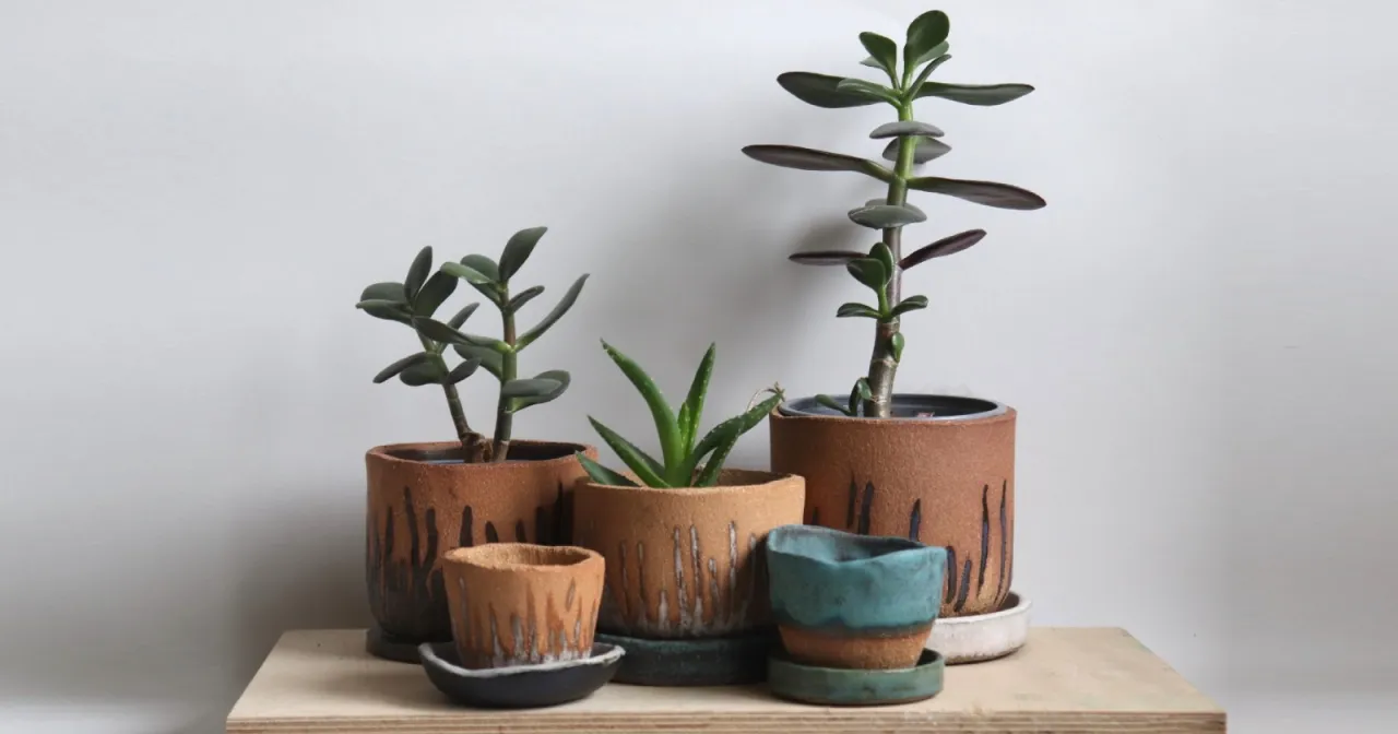 kreatywne skrzynki na kwiaty inspiracje