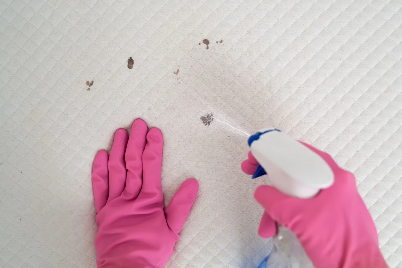 uszkodzony materac piankowy pleśń