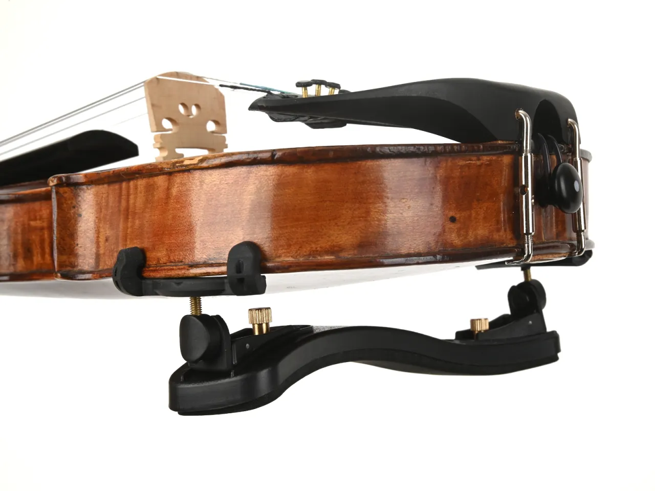 rodzaje żeberek do skrzypiec